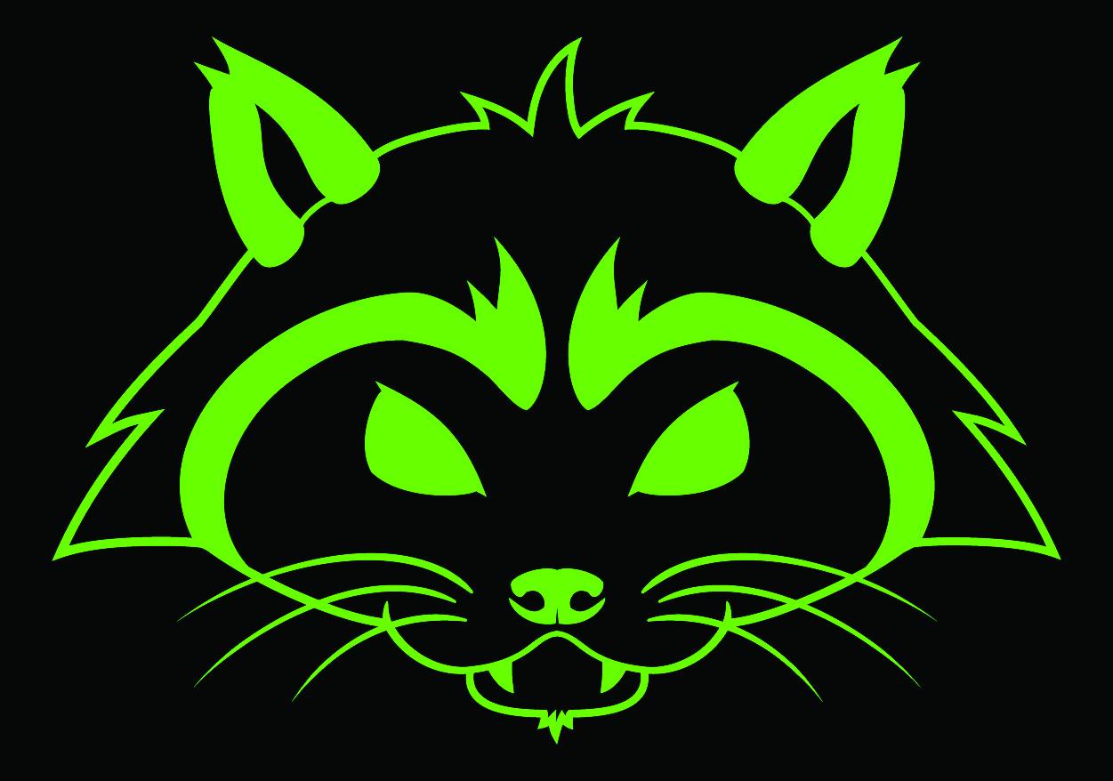 Rave Raccoons