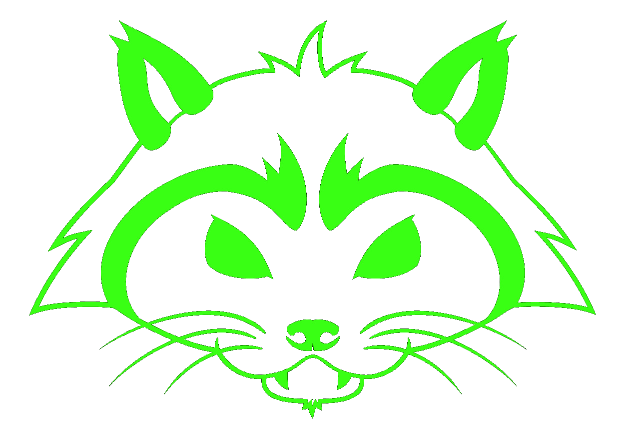 Rave Raccoons